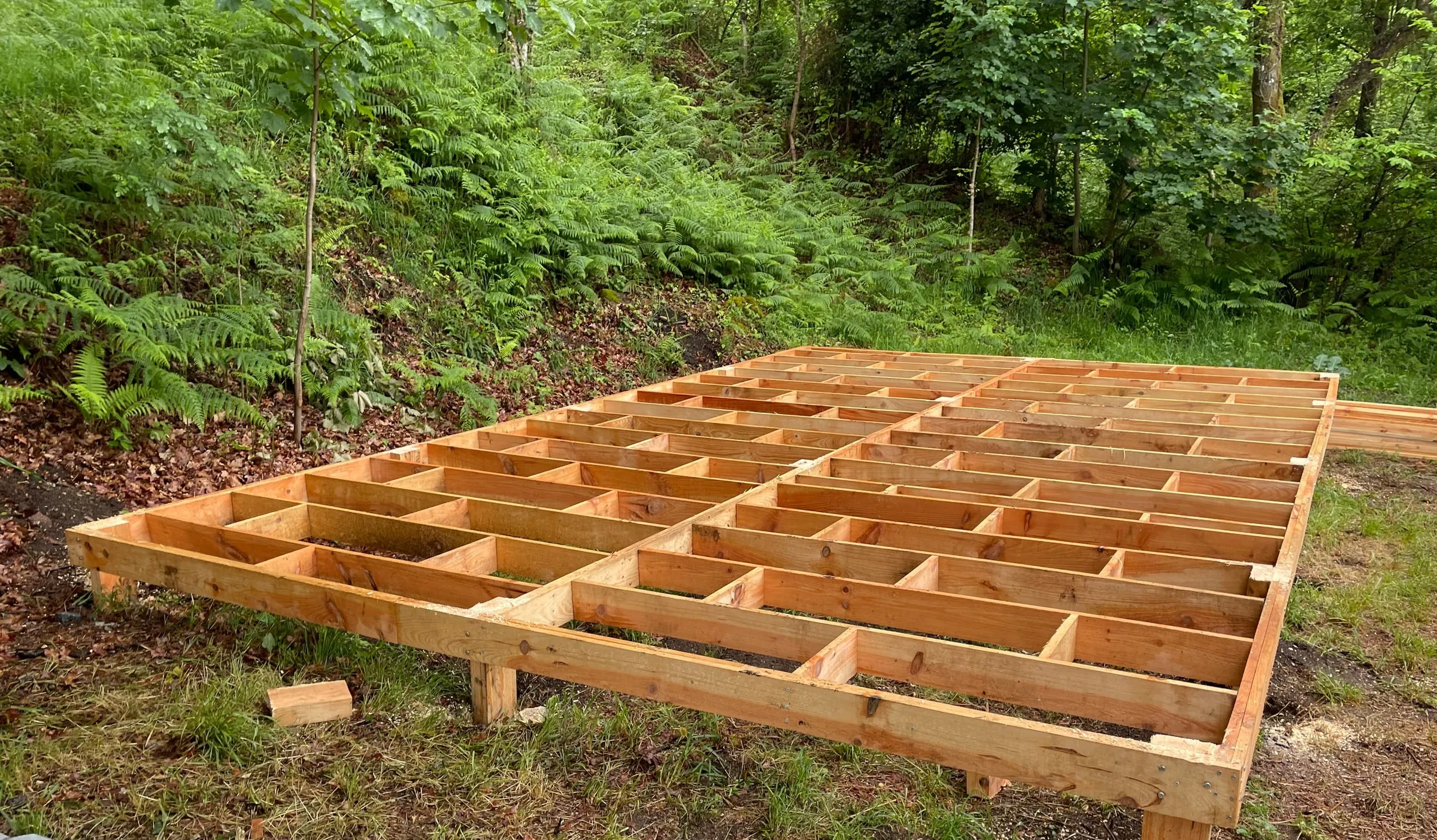 A timber floor frame on posts in a forest clearing